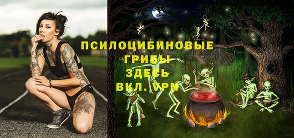 МДПВ Алексин