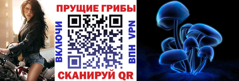 Галлюциногенные грибы MAGIC MUSHROOMS  купить наркотик  Нововоронеж 