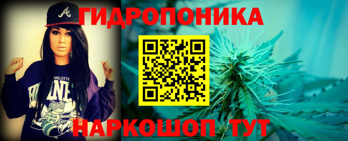 Канабис тримм  Шишки марихуана Ganja  Шишки марихуана Amnesia  Нововоронеж  Канабис планчик  Вход с VPN 